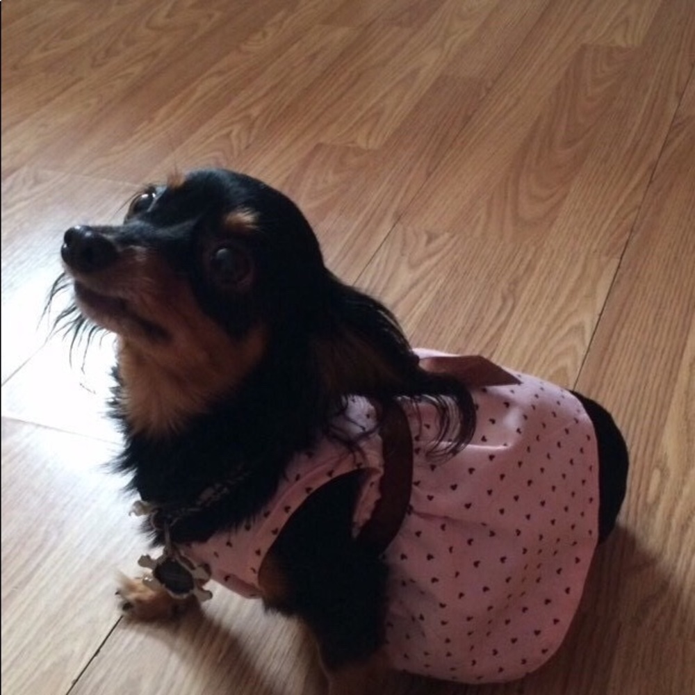 Meet your Posher, Crystal